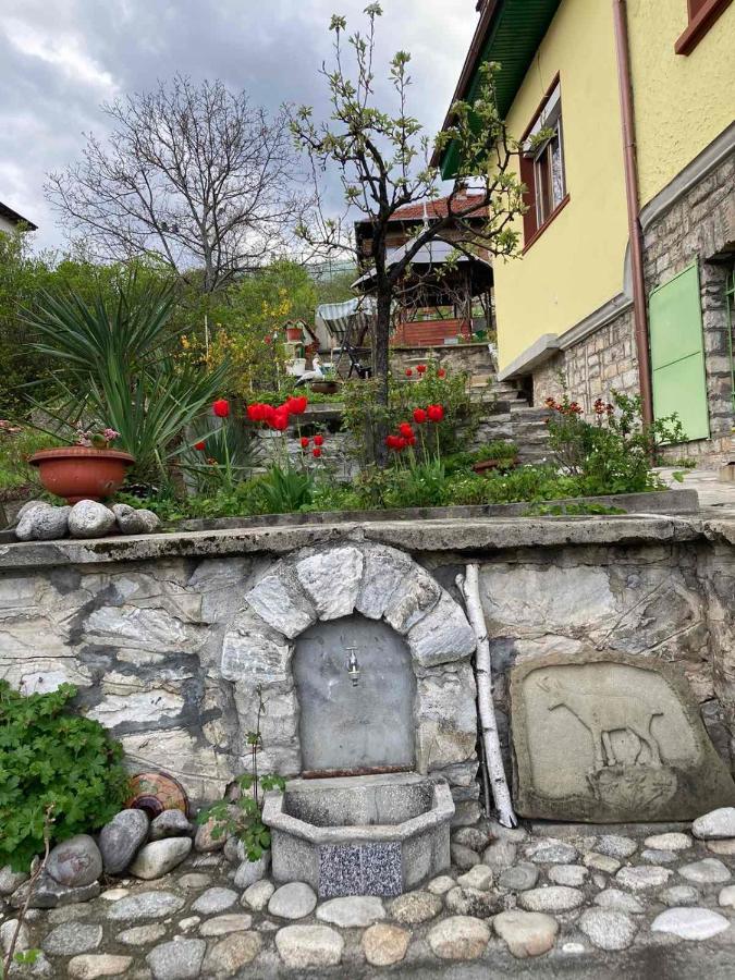 Vila Venera Welingrad Exterior foto